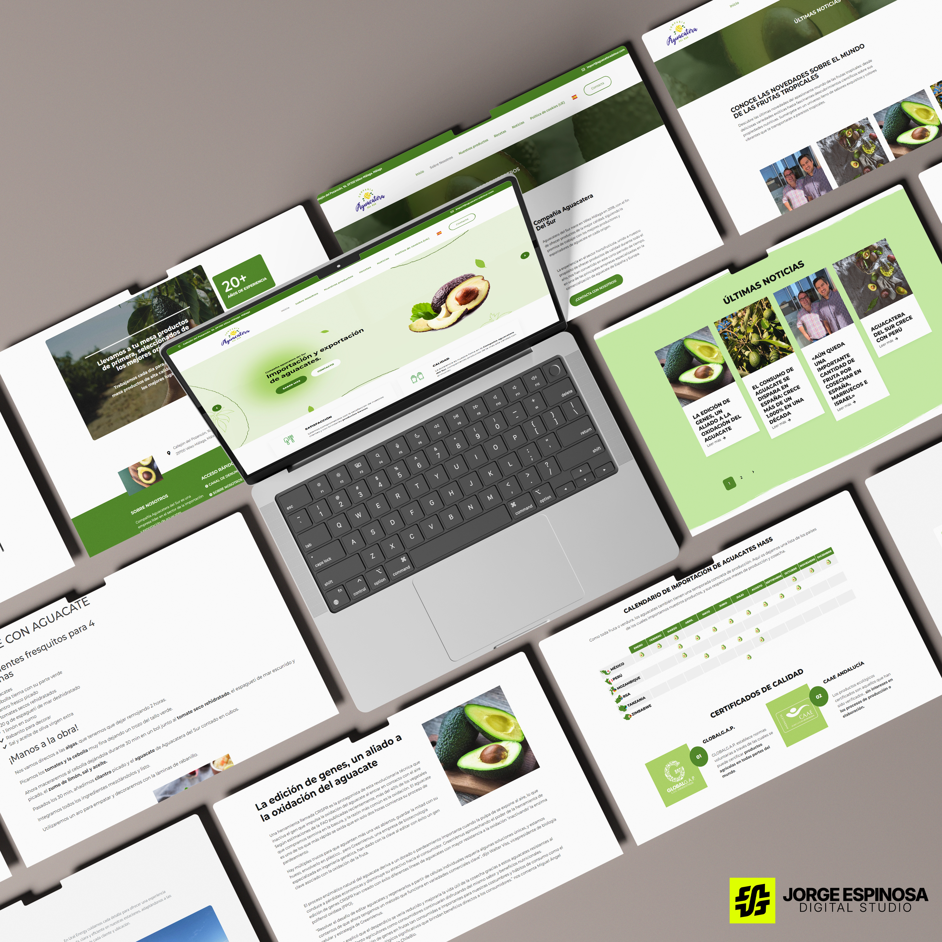 Mockup web de Aguacatera del Sur