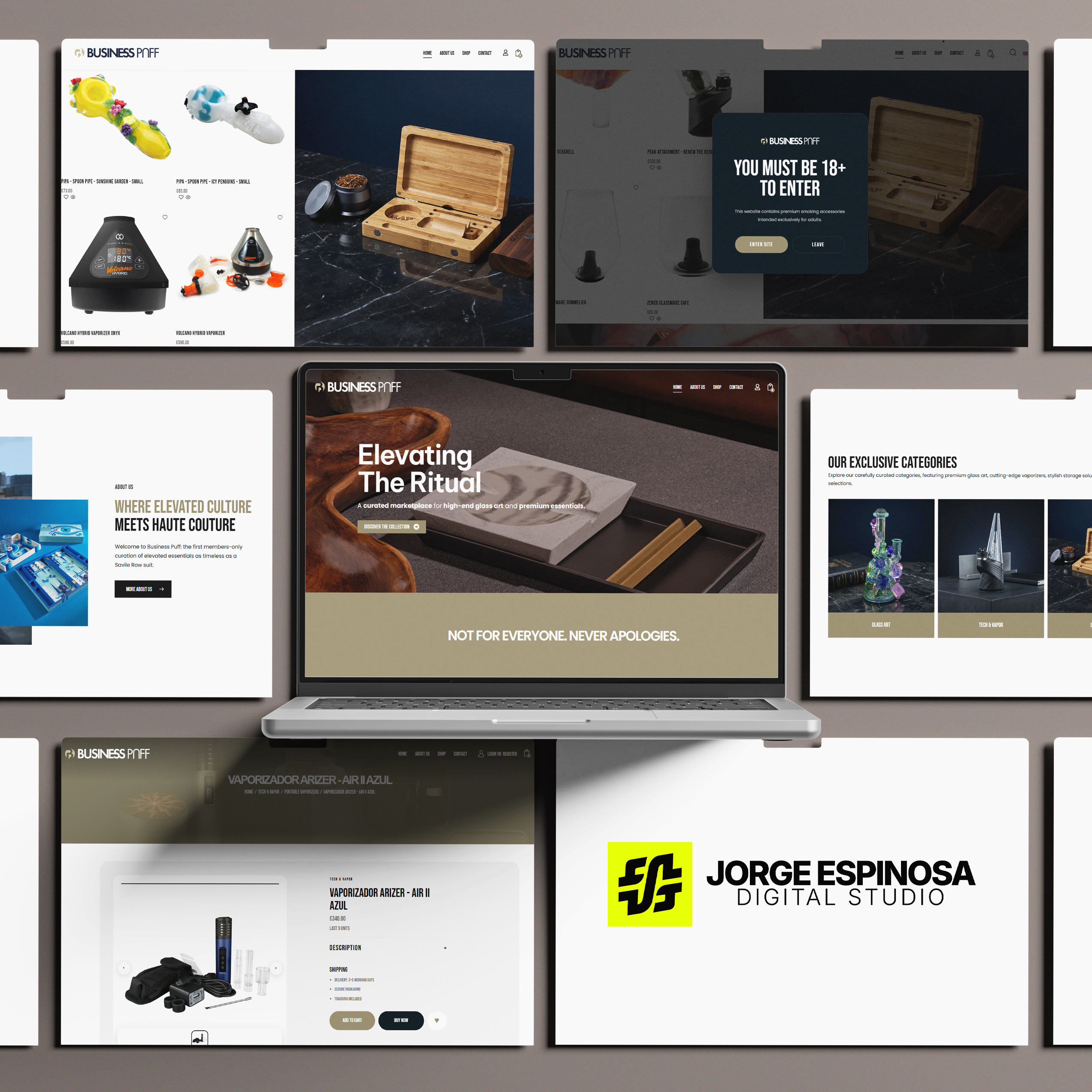 Mockup web de Business Puff